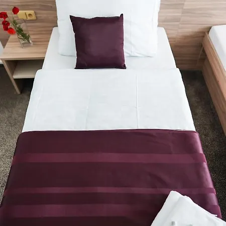 ホテル B&B Hotel University Brno